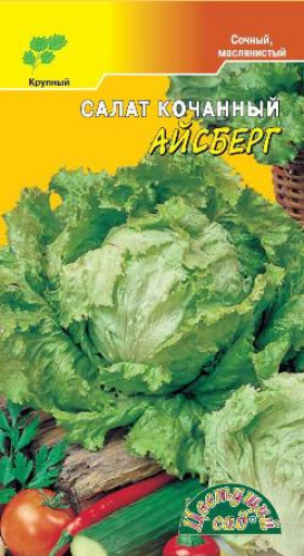 Айсберг крупнокочанный/Цветущий Сад