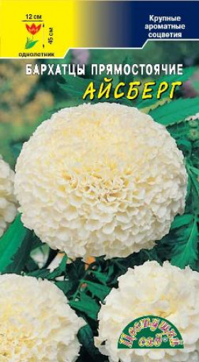 Айсберг/Цветущий Сад