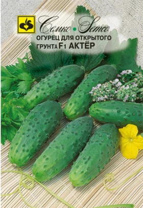 Актер (Семко)