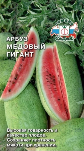 Медовый гигант Ц(С)