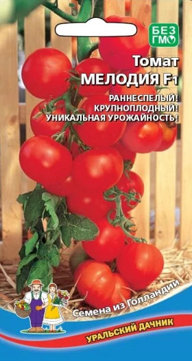 Мелодия Ц(УД)