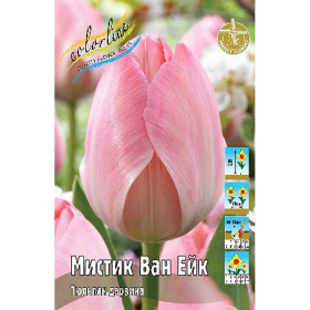 Мистик Ван Ейк 10/11 (дарв.) 10шт