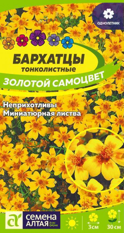 Оранжевый Самоцвет тонколистн. Ц(Алт)