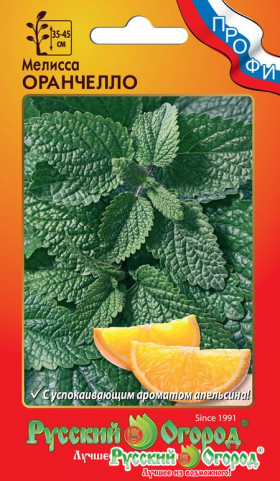 Оранчелло Ц(Н)