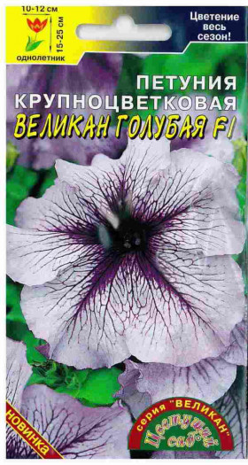 Великан голубая Цветущий Сад