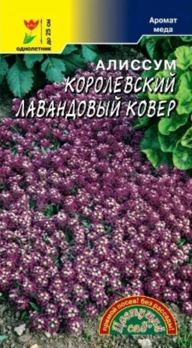 Королевский Лавандовый ковер Цветущий Сад