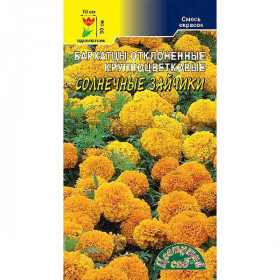 Солнечные зайчики Цветущий Сад