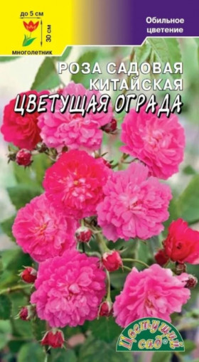 Цветущая ограда китайская Цветущий Сад