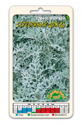 Серебряный Дождь Цветущий Сад