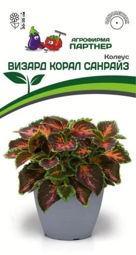 Визард Корал Санрайз 10шт Партнер