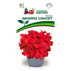 Визард Сансет 10шт Партнер