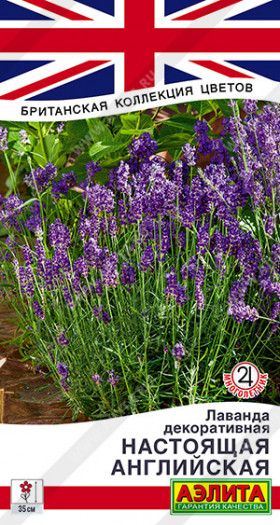 Настоящая Английская Ц(А)