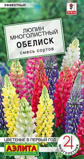 Обелиск Ц(А)