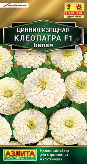 Клеопатра белая Ц(А)