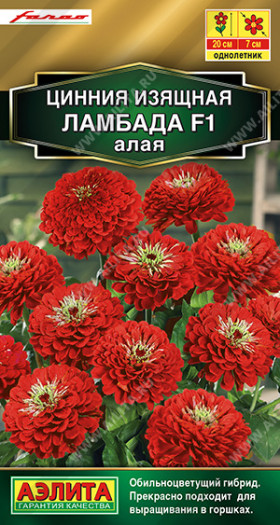 Ламбада алая Ц(А)