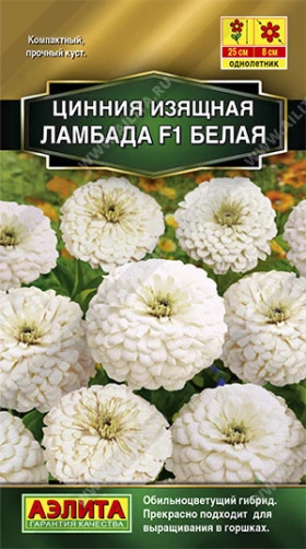 Ламбада белая Ц(А)