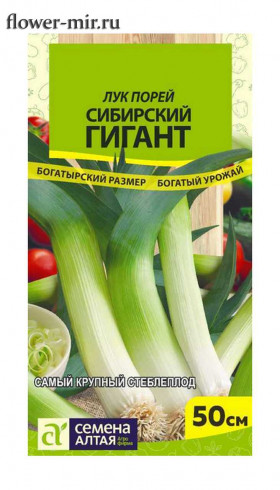 порей Сибирский Гигант Ц(Алт)