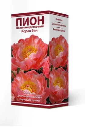 Корал Бич 1шт Поиск