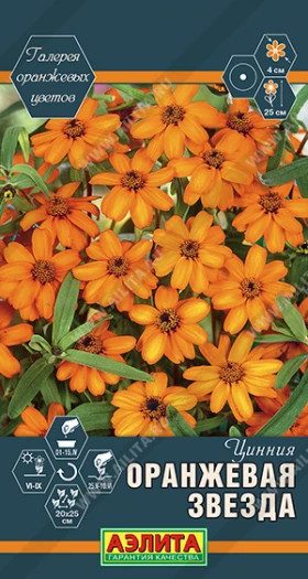 Оранжевая Звезда Ц(А) ()