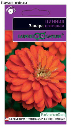 Захара огненная Ц(Г)