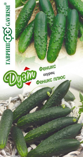 Феникс + Феникс плюс Ц(Г)