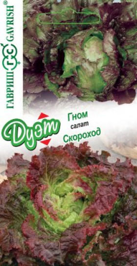 Скороход + Гном Ц(Г)