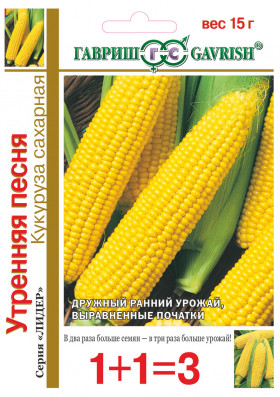 Утренняя песня 1+1 Ц(Г)