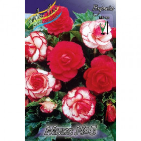 Микс № 5 (махр. роз+Роузбуд)- 2шт