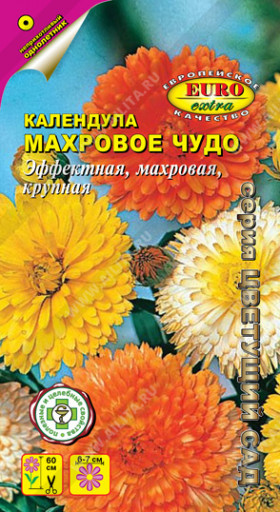 Махровое Чудо Ц(А)