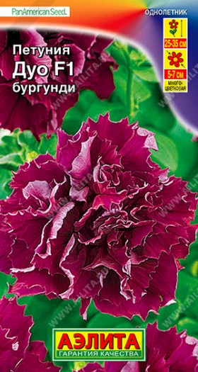 Дуо Бургунди махр Ц(А)