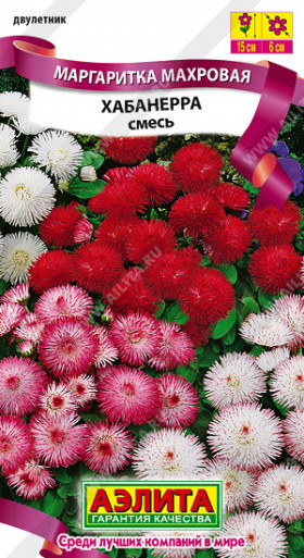 Хабанера Ц(А)