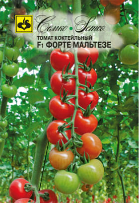Форте Мальтезе F1 (Семко)