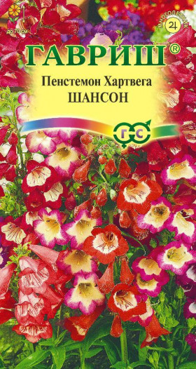 Хартвега Шансон Ц(Г)