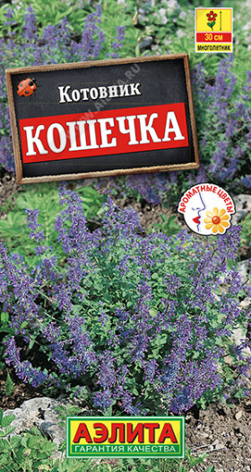 Кошечка Ц(А)