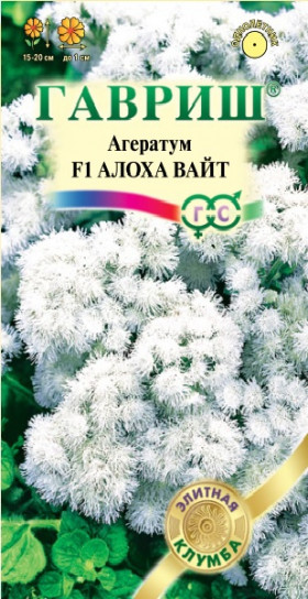 Алоха Вайт Ц(Г)