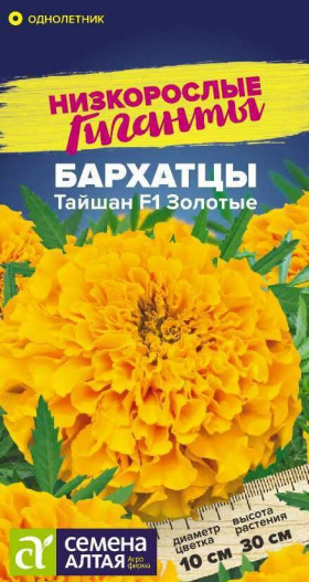 Тайшан Золотые низкорослые гиганты Ц(Алт)