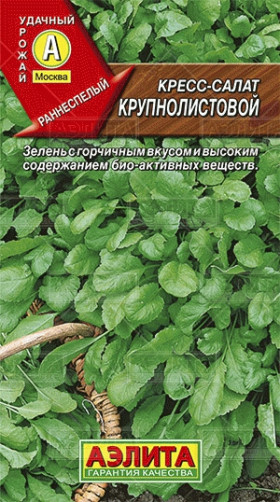 Кресс-салат Крупнолистовой Ц(А)