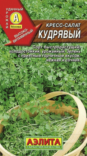 Кресс-салат Кудрявый Ц(А)