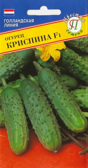 Криспина Ц(П)