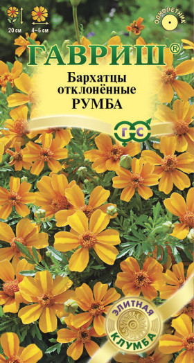 Румба откл. Ц(Г)