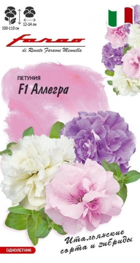 Аллегра Ц(Г)