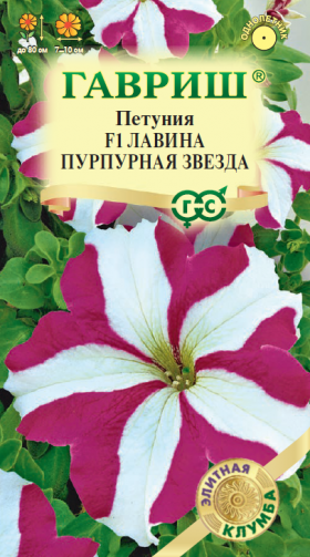 Лавина Пурпурная Звезда Ц(Г)