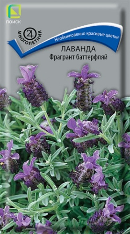 Фрагрант баттерфляй Ц(Поиск)