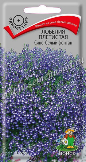 Сине-белый фонтан Ц(Поиск)