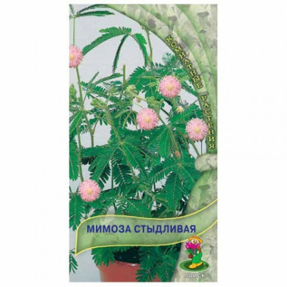 Стыдливая Ц(Поиск)