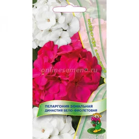 Династия Бело-фиолетовая зональная Ц(Поиск)