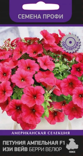 Изи Вейв Берри Велюр ампельная Ц(Поиск)