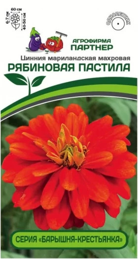 Рябиновая пастила 5шт Партнер