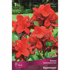 Бриллиант  Поиск