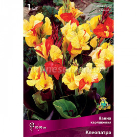 Клеопатра 2шт